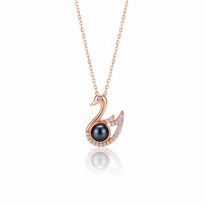 玫瑰金白底图