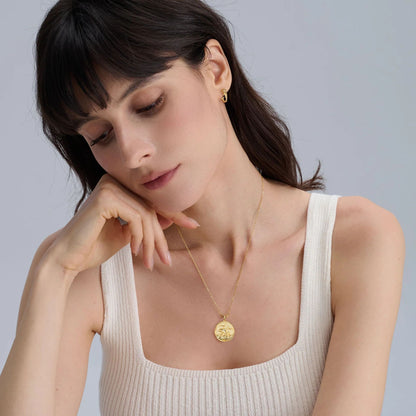 Dolphin Medallion Necklace Gold Sterling Silver for Women