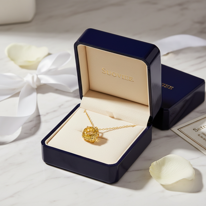 Premium gift packaging